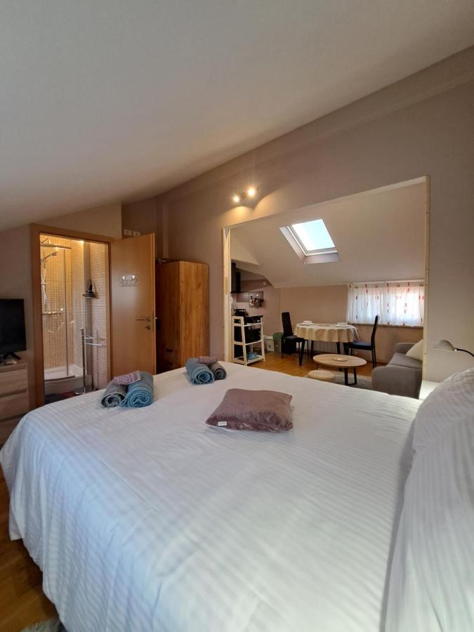 Appartamento Casa Antonio With Swimming Pool Novigrad Istria Esterno foto