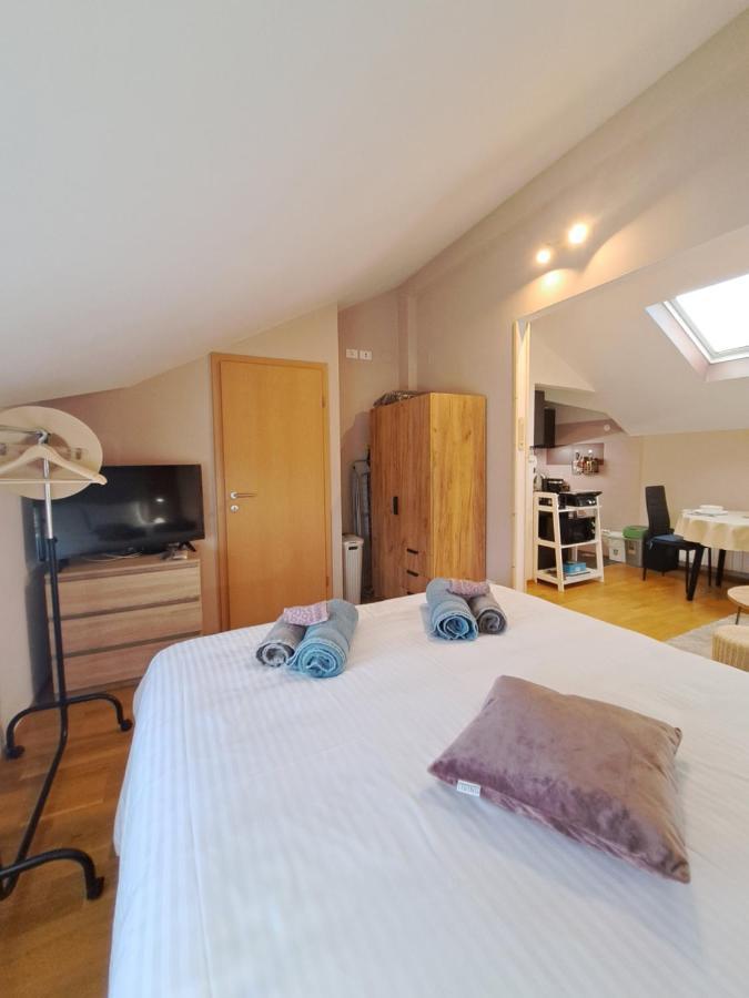 Appartamento Casa Antonio With Swimming Pool Novigrad Istria Esterno foto