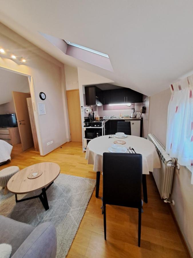Appartamento Casa Antonio With Swimming Pool Novigrad Istria Esterno foto